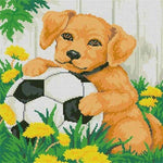 Full Drill - 5D DIY Diamond Painting Kits Pet Dog Football in the Grass - NEEDLEWORK KITS