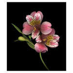 Full Drill - 5D DIY Diamond Painting Kits Pretty Flower