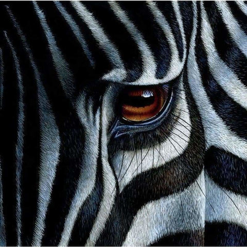 Full Drill - 5D DIY Diamond Painting Kits Sad Zebra Eye