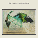 Full Drill - 5D Diy Diamond Painting Kits Watercolor 