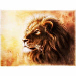 Full Drill - 5D DIY Diamond Painting Peaceful Lion 