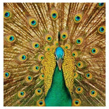 Full Drill - 5D DIY Diamond Painting Kits Gold Modern Artistic Peacock - NEEDLEWORK KITS