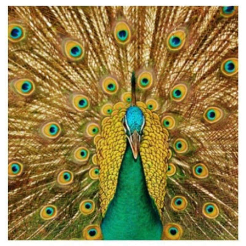 Full Drill - 5D DIY Diamond Painting Kits Gold Modern Artistic Peacock - NEEDLEWORK KITS