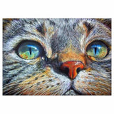 Hot Sale Cat Face Full Drill - 5D Diy Embroidery Cross 