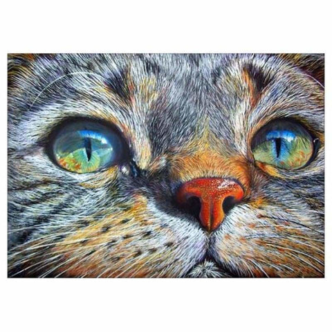 Hot Sale Cat Face Full Drill - 5D Diy Embroidery Cross 