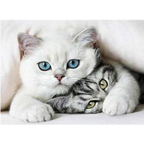 Hot Sale Two Cats Embroidery Cross Stitch Full Drill - 5D 