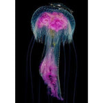 Full Drill - 5D DIY Diamond Painting Kits Beautiful Jellyfish - NEEDLEWORK KITS