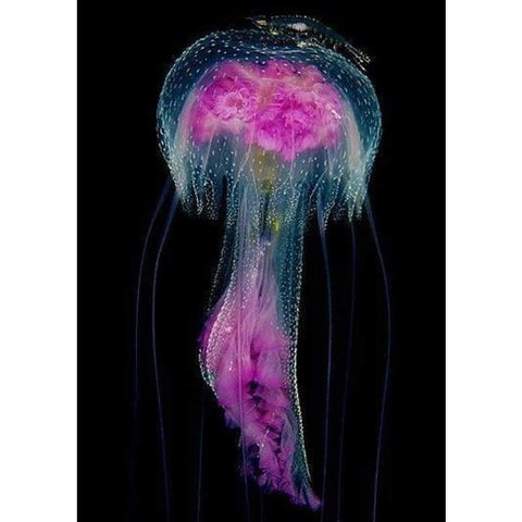 Full Drill - 5D DIY Diamond Painting Kits Beautiful Jellyfish - NEEDLEWORK KITS