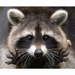 New Hot Sale Cross Stitch Cute Raccoon DIY Full Drill - 5D 