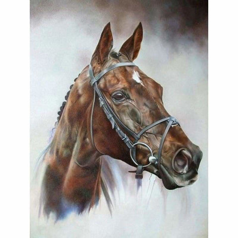 New Hot Sale Horse Pattern Diamond Painting Kits VM20008 - 3