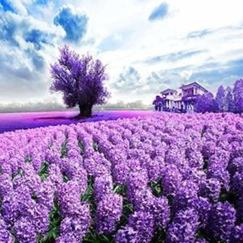 New Hot Sale Lavender Fields Picture Full Drill - 5D Diamond