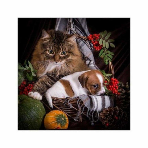 Full Drill - 5D DIY Diamond Painting Kits Pet Cat Dog - NEEDLEWORK KITS