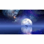 Full Drill - 5D DIY Diamond Painting Kits Starry Sky Moon Dolphin - NEEDLEWORK KITS