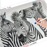 Zebra Kisses - NEEDLEWORK KITS